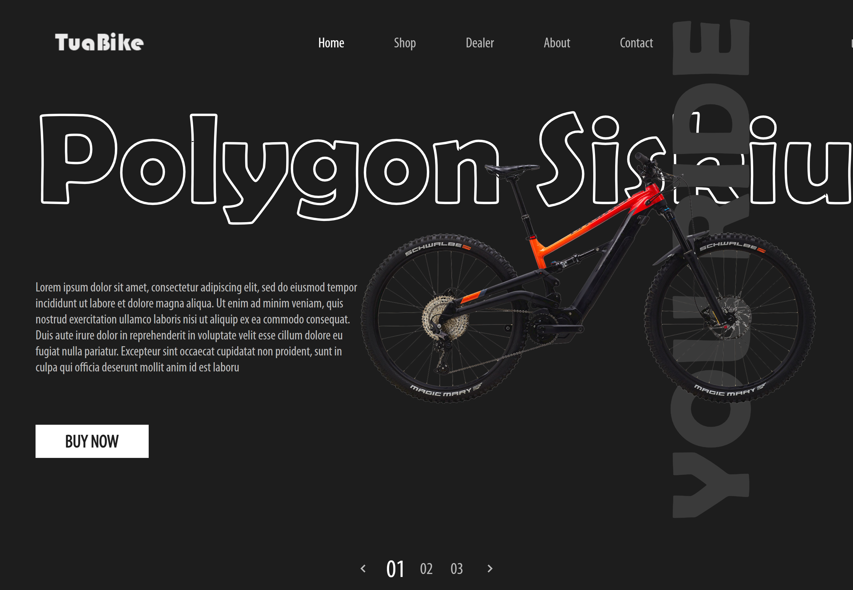 Taubike website design and development